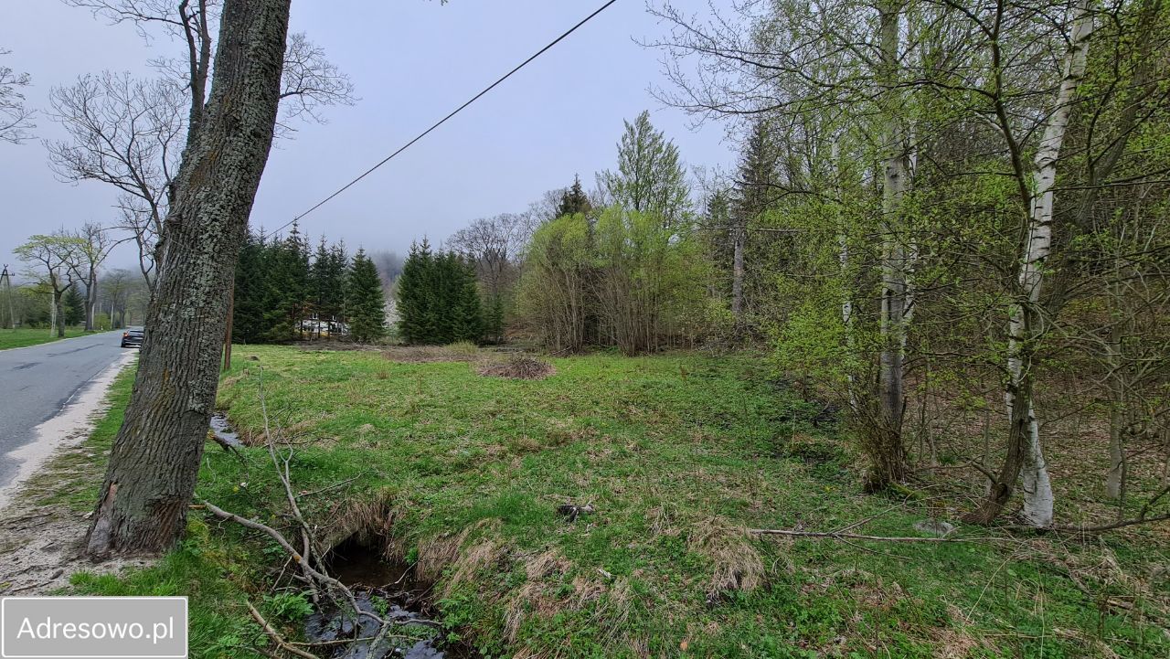 Działka budowlana Jarkowice. Zdjęcie 2