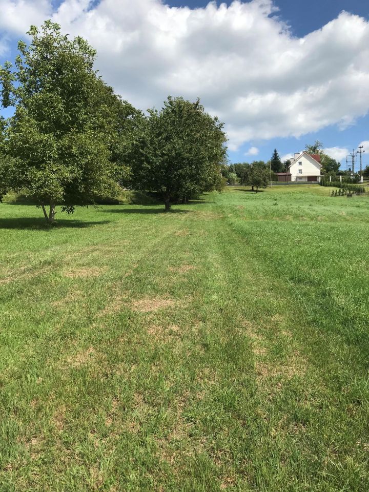 Działka leśna Mogilany, ul. Rzemieślnicza. Zdjęcie 5