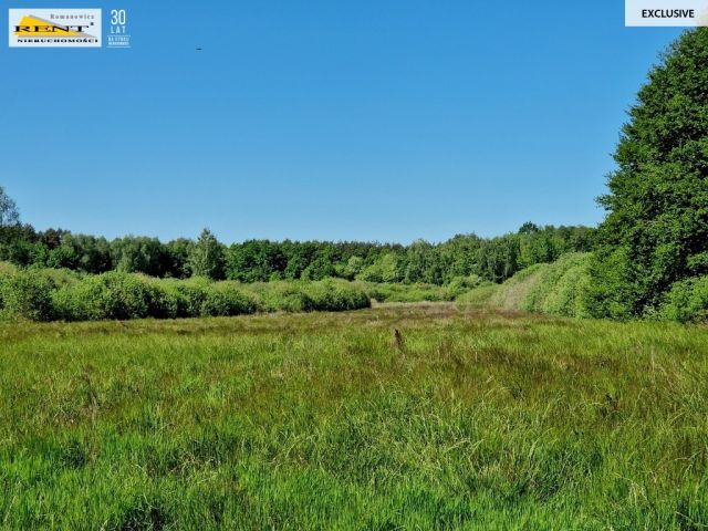 Działka rolna Kobylanka. Zdjęcie 4