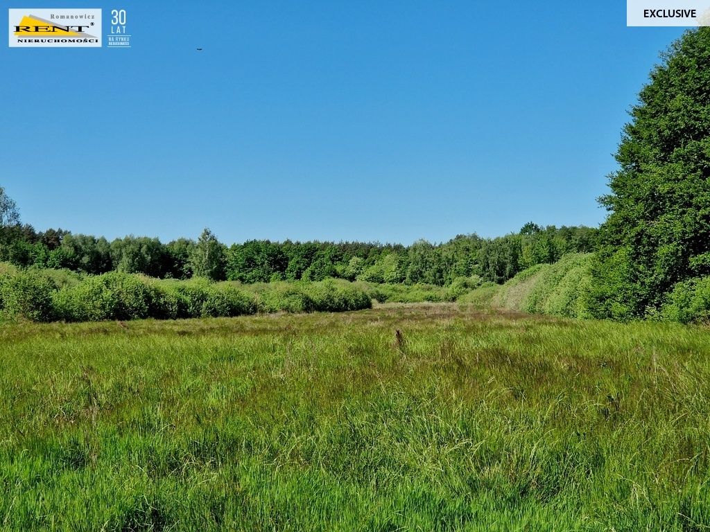 Działka rolna Kobylanka. Zdjęcie 4