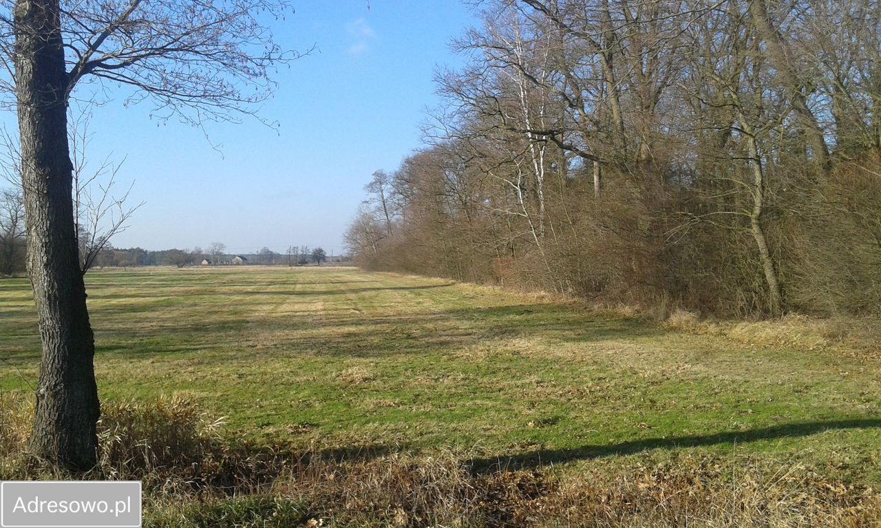 Działka budowlana Jarantów-Kolonia. Zdjęcie 5