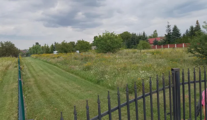 Działka rolno-budowlana Płock Radziwie, ul. Popłacińska