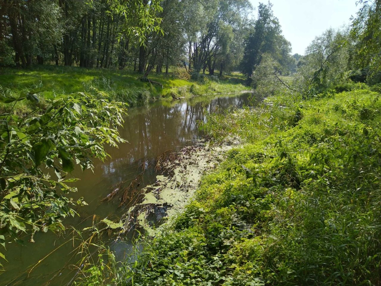 Działka budowlana Żarowo, ul. Długa. Zdjęcie 3