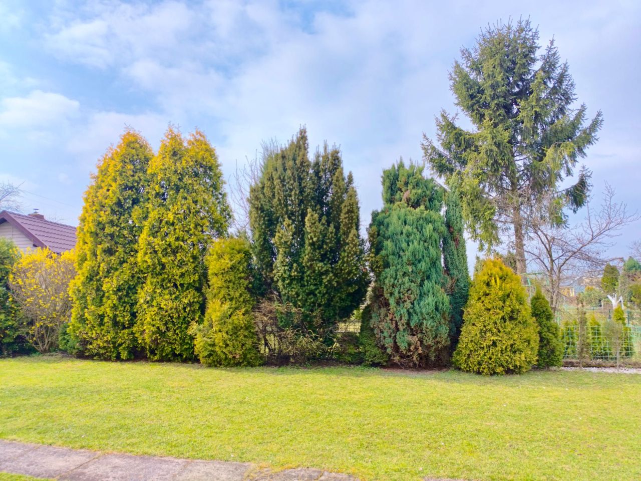 Działka rod Jaworzno. Zdjęcie 8