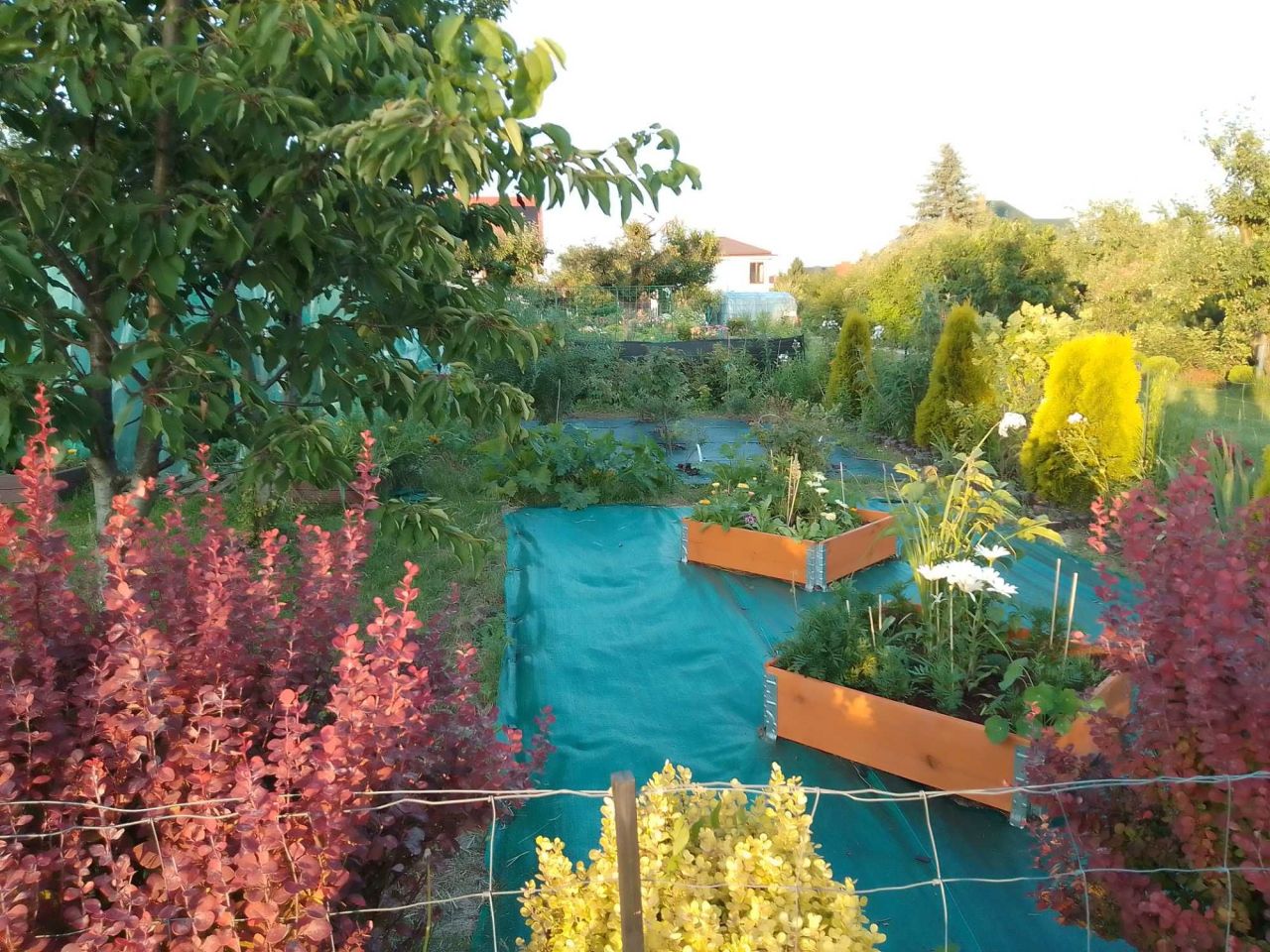 Działka rod Świdnik, ul. Działkowca. Zdjęcie 6