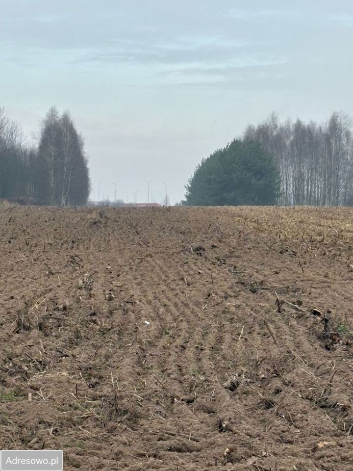 Działka rolna Jędrzejów Nowy. Zdjęcie 2