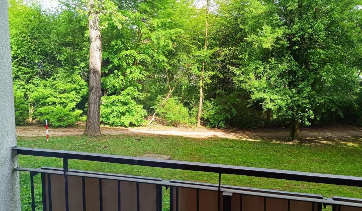 Mieszkanie 4-pokojowe Poznań Naramowice, os. Władysława Łokietka