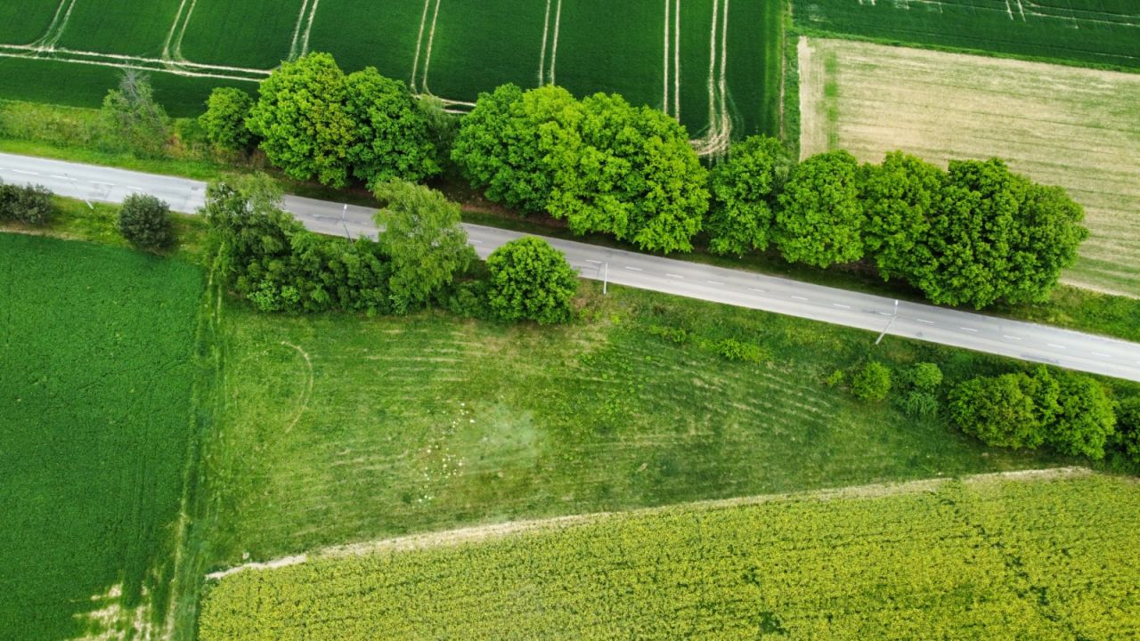 Działka budowlana Pielgrzymowice Trąbieniec, ul. Jastrzębska. Zdjęcie 8