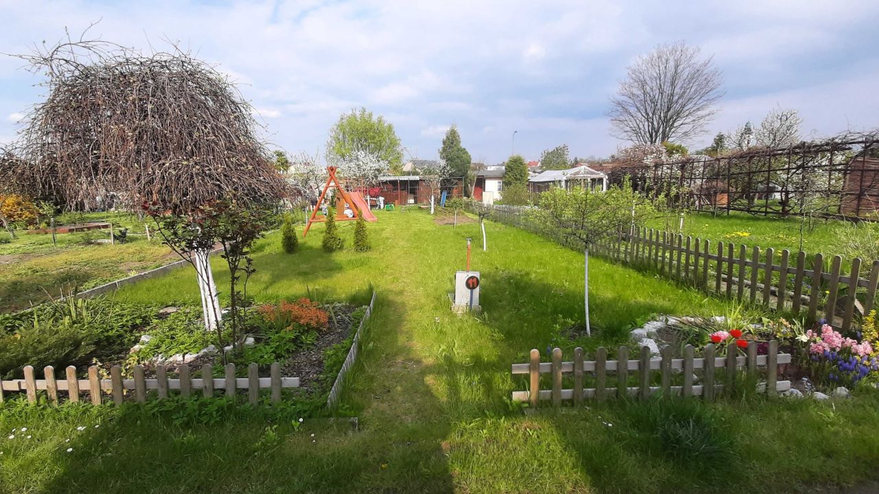 Działka rod Strzelce Opolskie. Zdjęcie 4