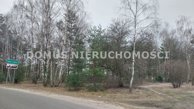 Działka inwestycyjna Grzmiąca. Zdjęcie 6