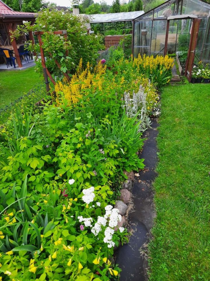 Działka rod Olsztyn, al. Aleja Generała Władysława Sikorskiego. Zdjęcie 3