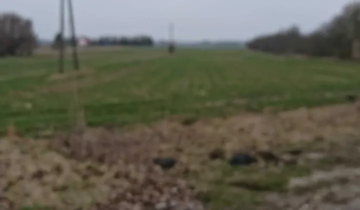 Działka budowlana Kwilina