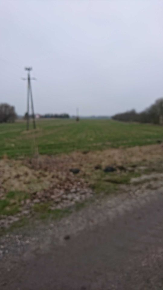 Działka budowlana Kwilina. Zdjęcie 1
