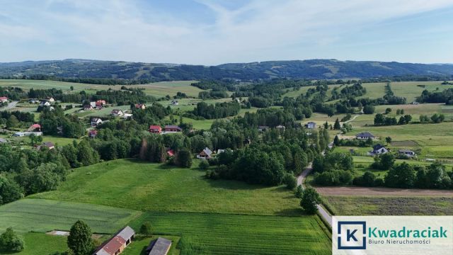 Działka rolna Krasna. Zdjęcie 4