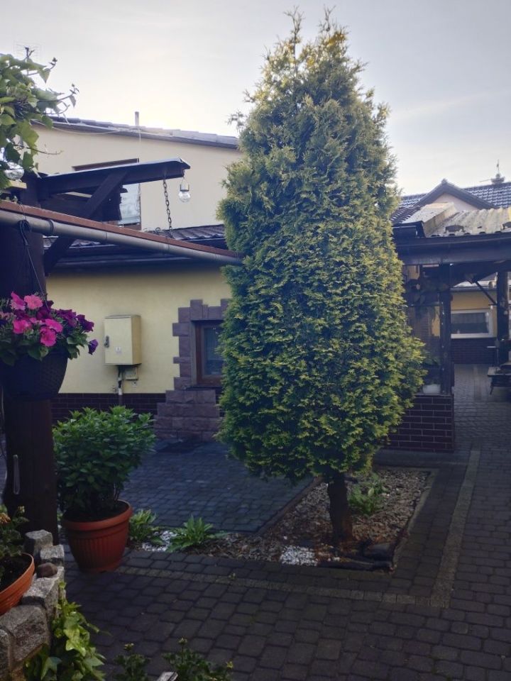 dom wolnostojący Dęblin. Zdjęcie 2