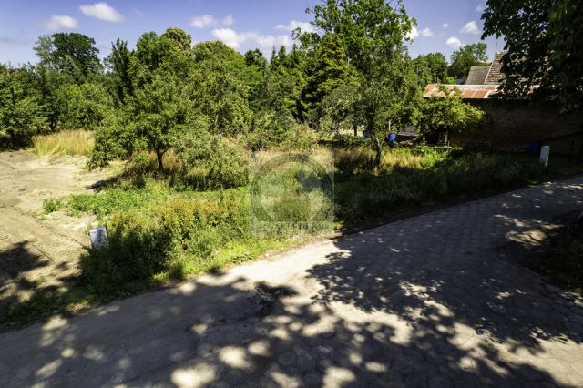 Działka budowlana Wrzosowo. Zdjęcie 12