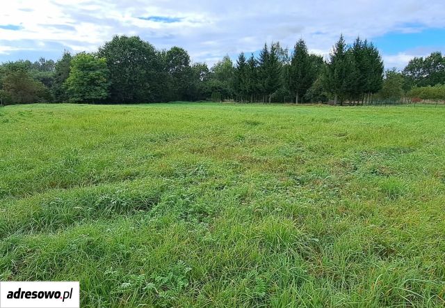 Działka budowlana Stanowice, ul. Strażacka. Zdjęcie 1
