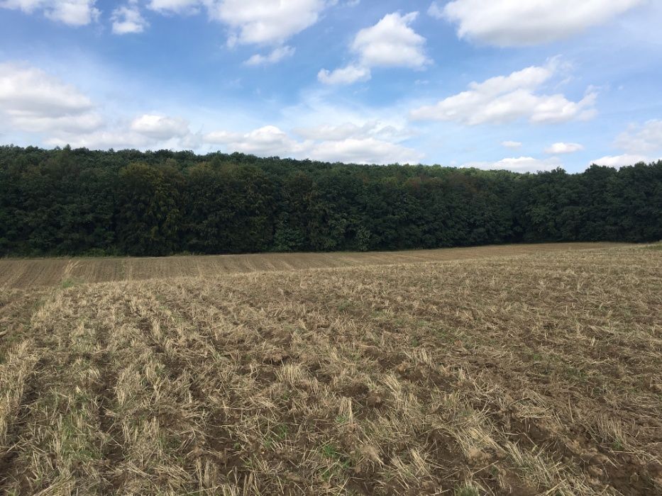 Działka rolna Maszków. Zdjęcie 7