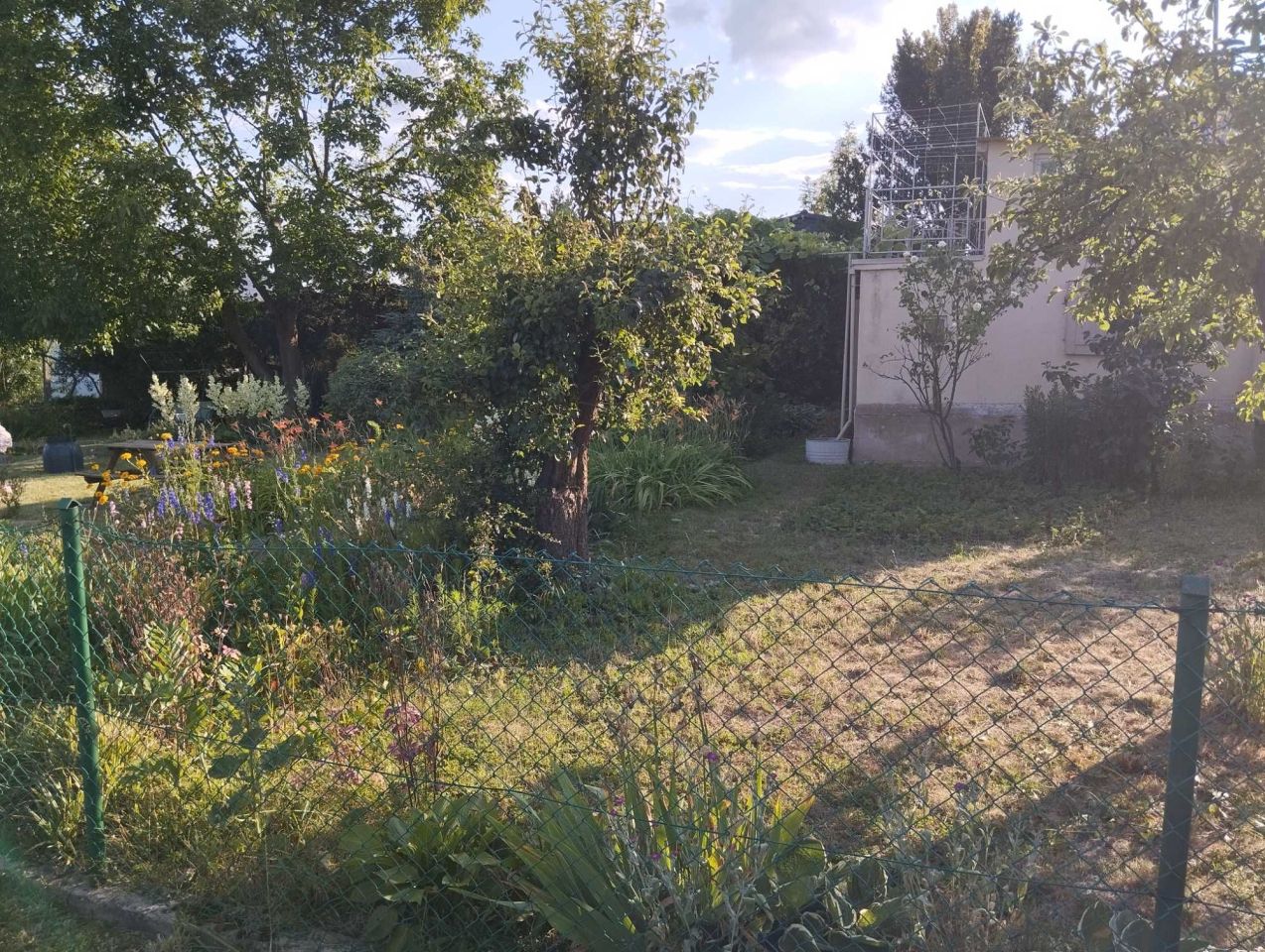 Działka rod Świebodzin, ul. Partyzancka. Zdjęcie 2