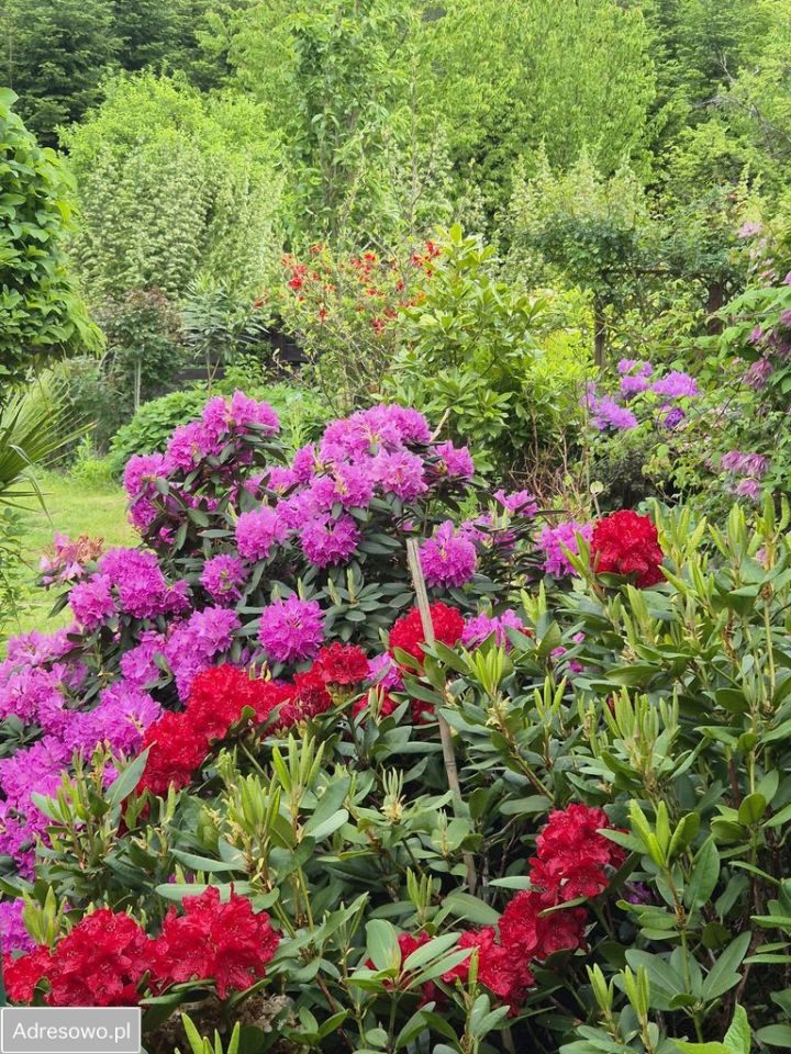 dom wolnostojący, 3 pokoje Poćwiardówka. Zdjęcie 11