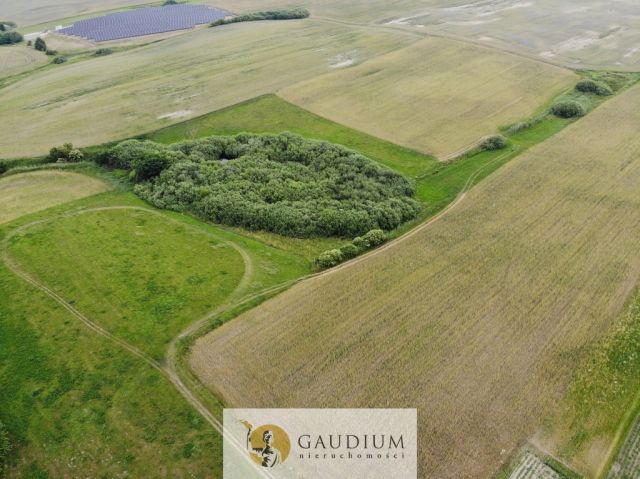 Działka inwestycyjna Sztum. Zdjęcie 10