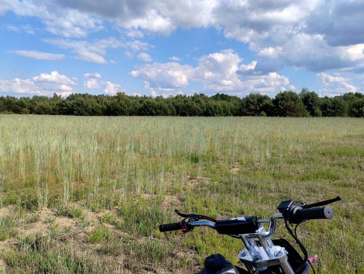 Działka rekreacyjna Burlaki Holendry, ul. Holendrów. Zdjęcie 13