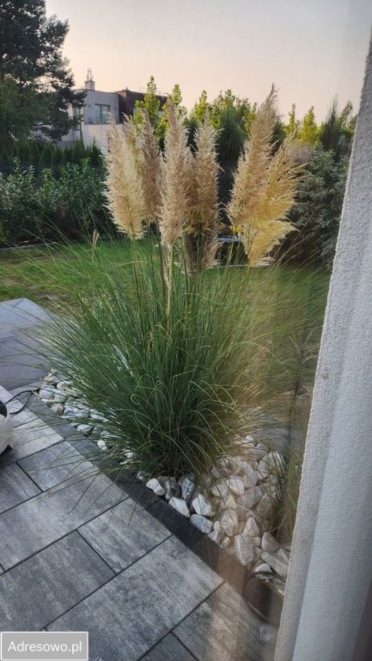 bliźniak, 3 pokoje Głosków, ul. Pustułki. Zdjęcie 14