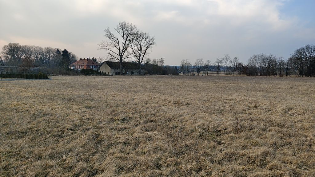 Działka budowlana Ostrzyca. Zdjęcie 7