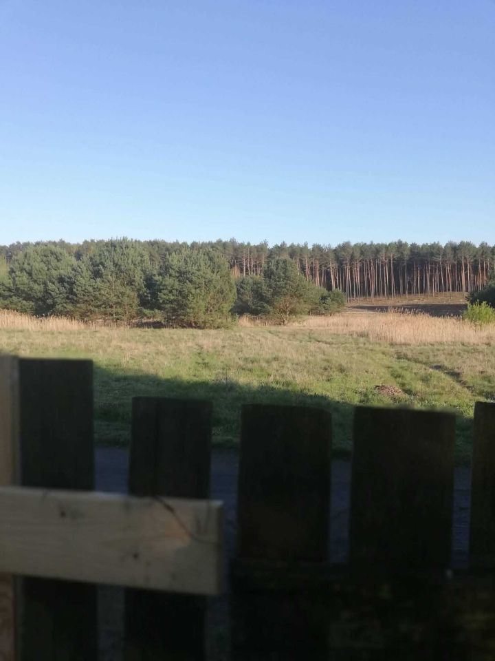 Działka rod Zielona Góra Jędrzychów. Zdjęcie 7