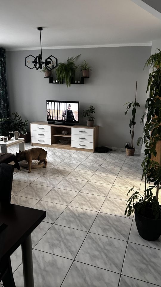 Mieszkanie 2-pokojowe Siedlce Centrum, ul. Jana Kilińskiego. Zdjęcie 6