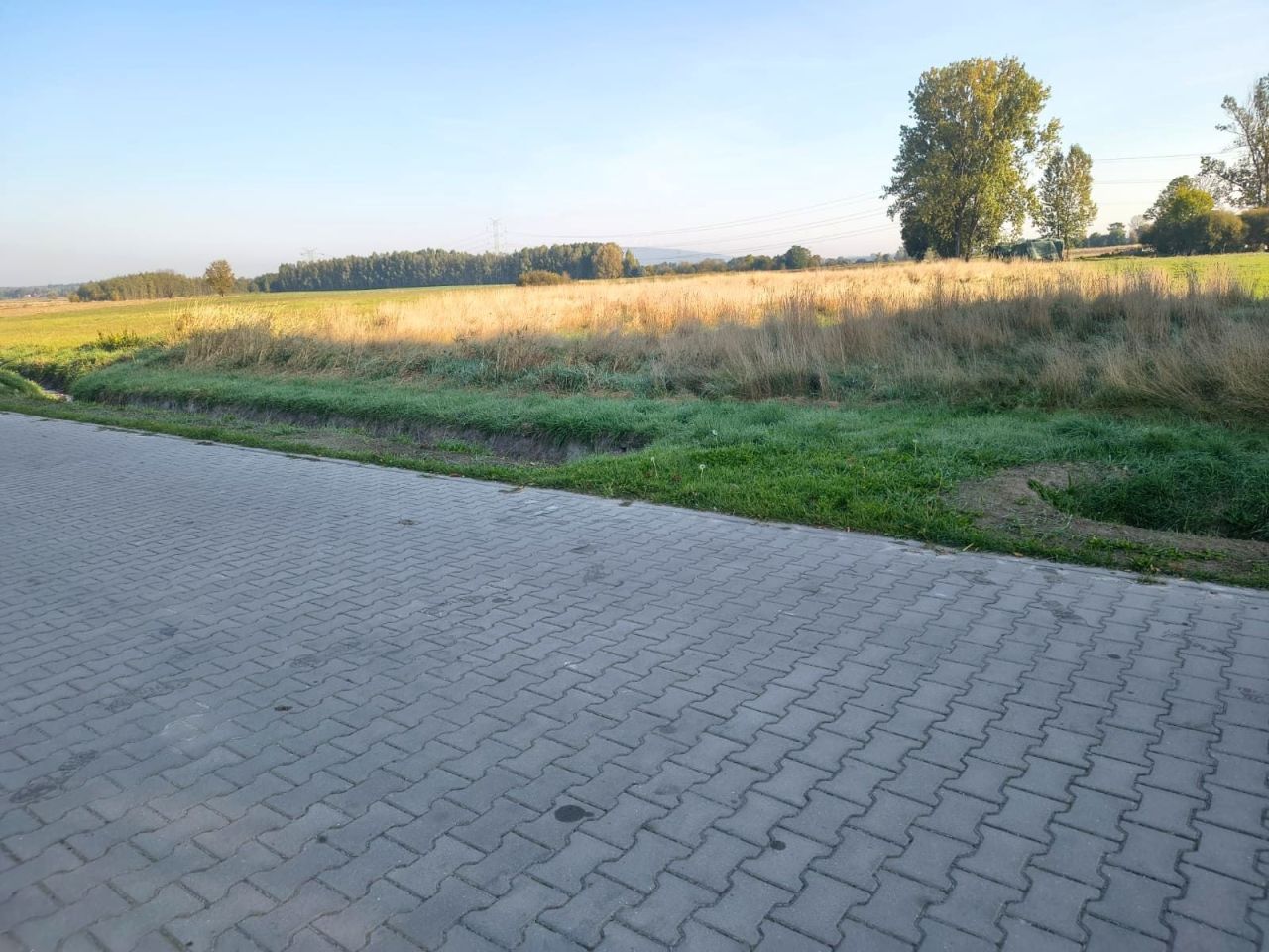Działka budowlana Zdania. Zdjęcie 4