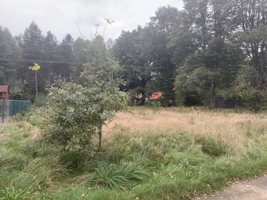 Działka budowlana Kamień. Zdjęcie 6