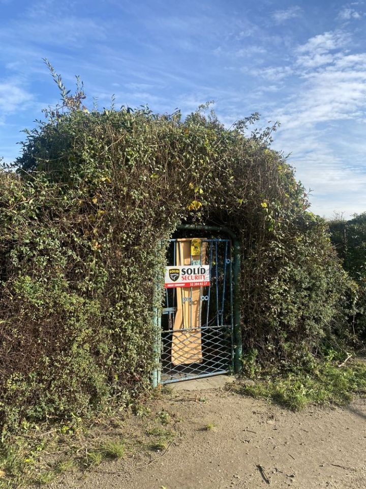 Działka rod Chorzów, ul. Gruntowa. Zdjęcie 2