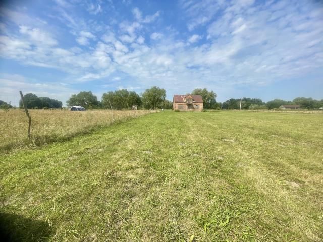 Działka siedliskowa Mogowo. Zdjęcie 3