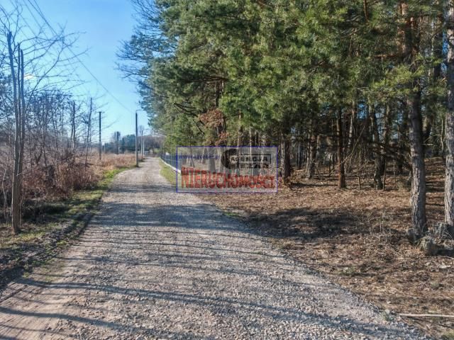 Działka budowlana Kąck, ul. Leśna. Zdjęcie 9