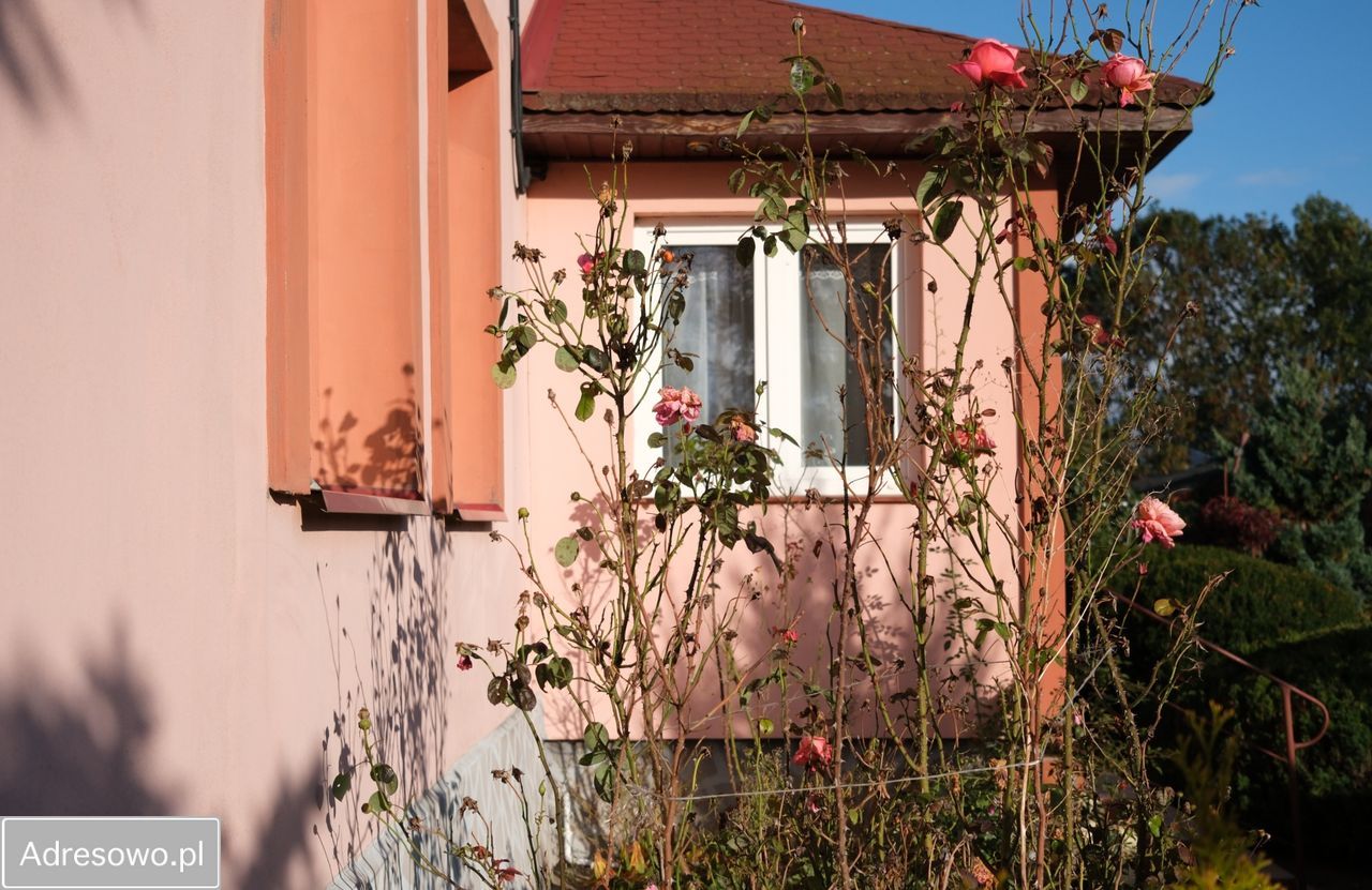 siedlisko, 4 pokoje Długie Parcele. Zdjęcie 12