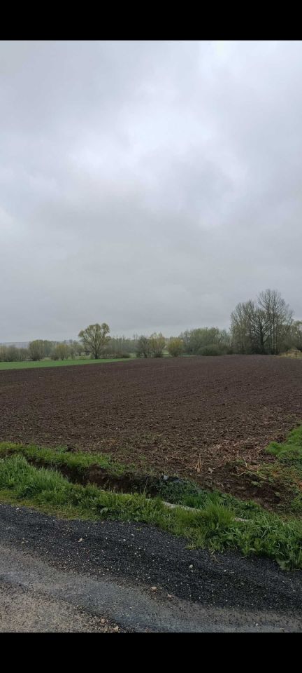 Działka rod Jurków. Zdjęcie 3