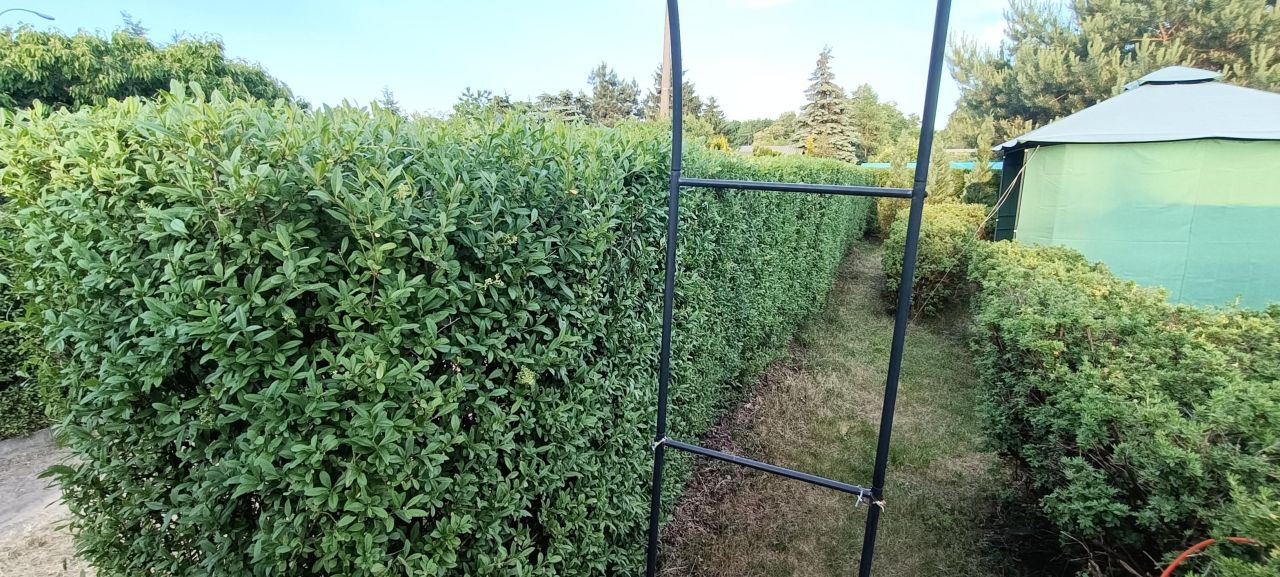 Działka rod Łódź Górna, ul. Lodowa. Zdjęcie 36