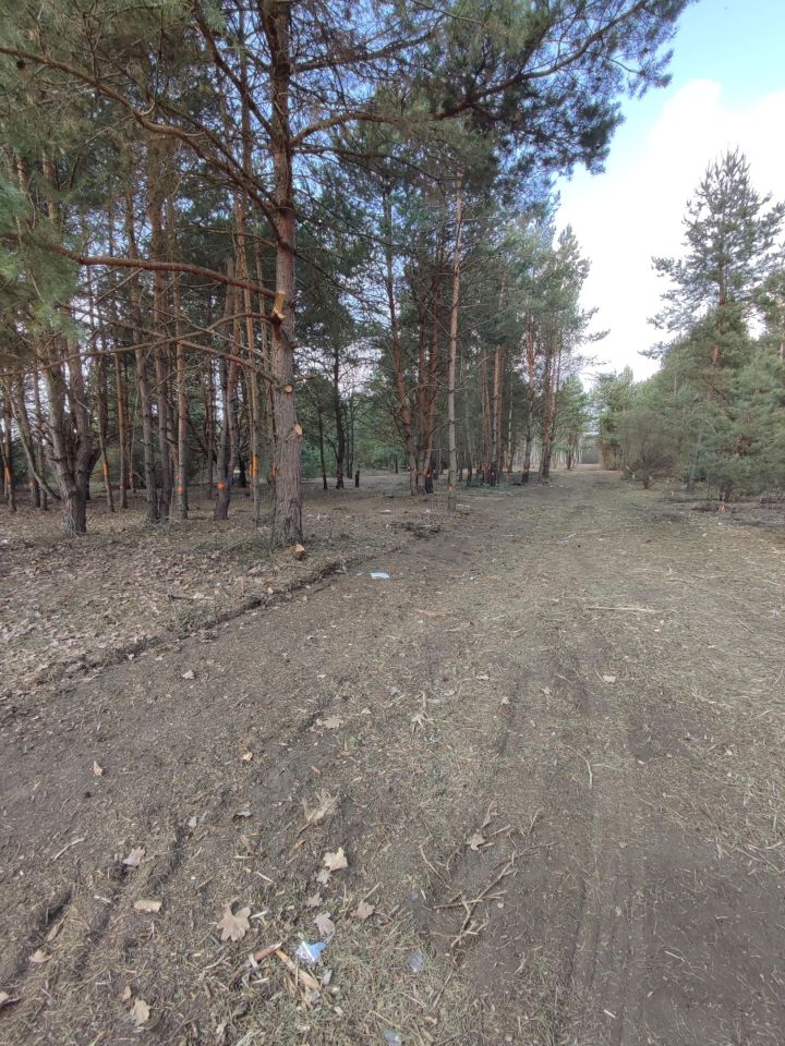 Działka budowlana Skarżysko-Kamienna Łyżwy, ul. Grzybowa. Zdjęcie 4