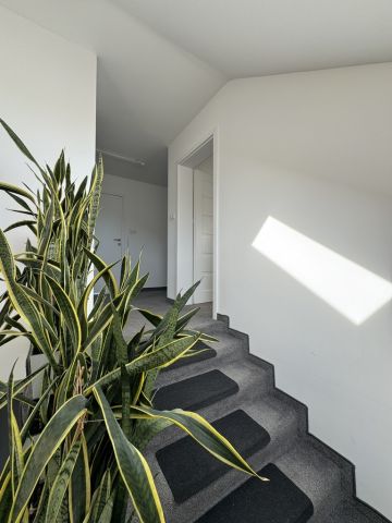 dom wolnostojący, 5 pokoi Golkowice. Zdjęcie 31