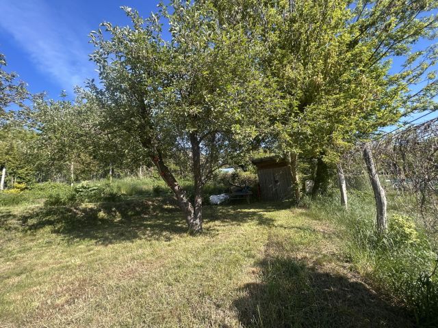 Działka rod Gorzów Wielkopolski Piaski, ul. Stefana Batorego. Zdjęcie 1