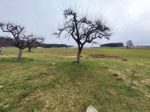 Działka budowlana Ignaców Jawor. Zdjęcie 4