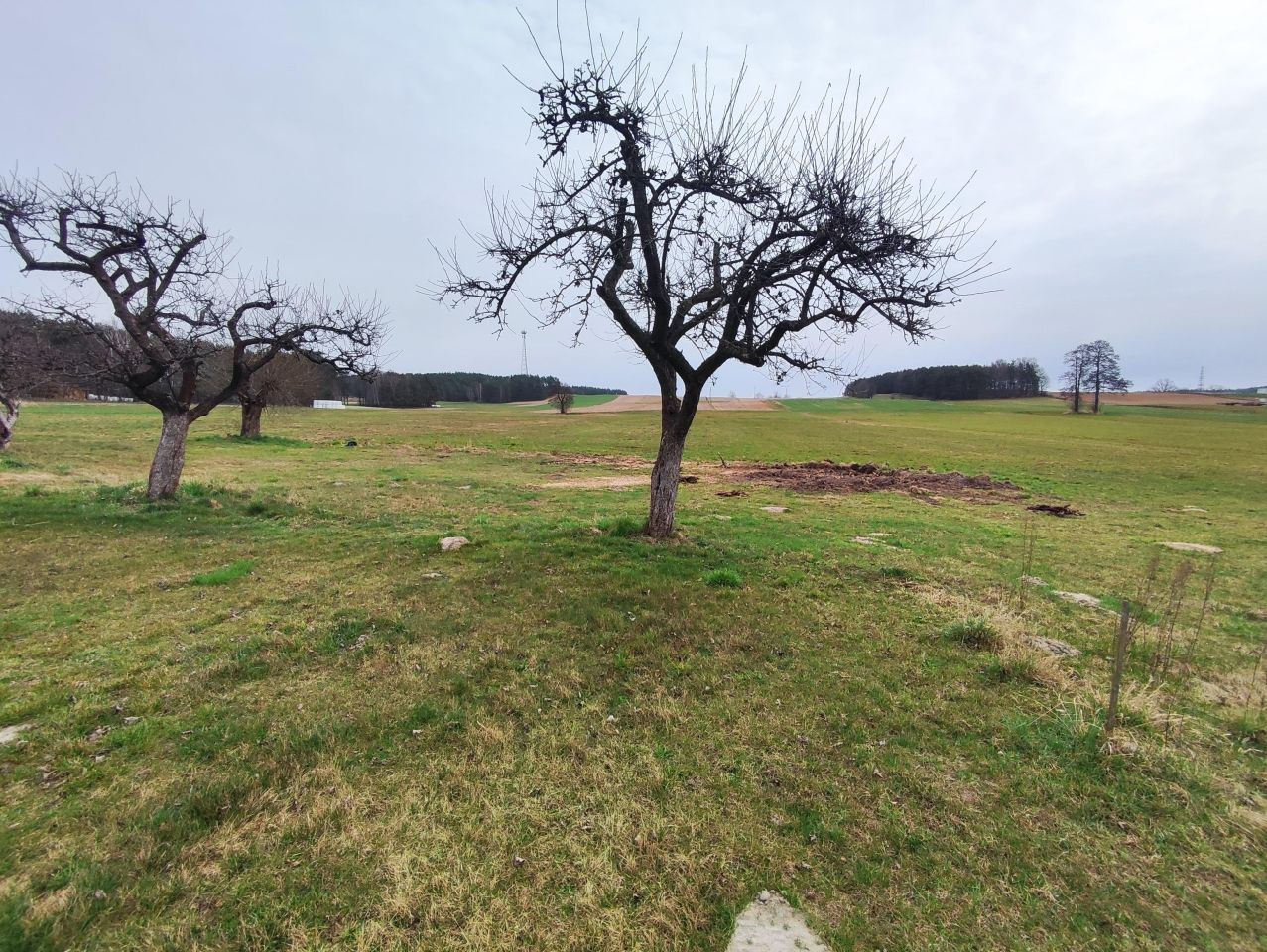 Działka budowlana Ignaców Jawor. Zdjęcie 5