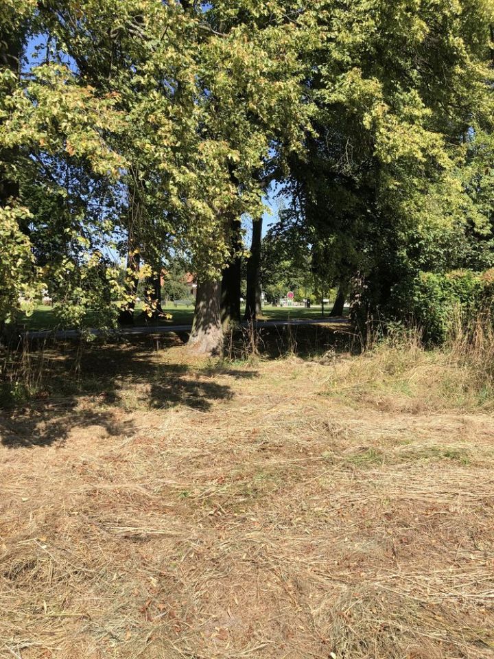 Działka budowlana Oblęgorek, ul. Aleja Lipowa. Zdjęcie 7