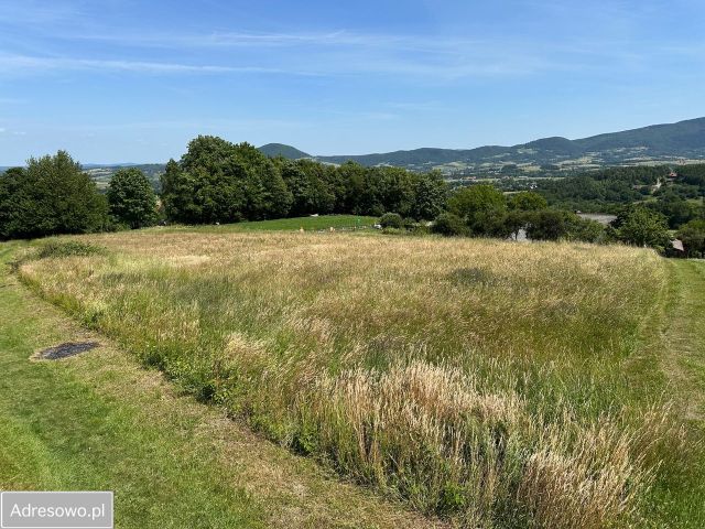 Działka budowlana Lipnik. Zdjęcie 1