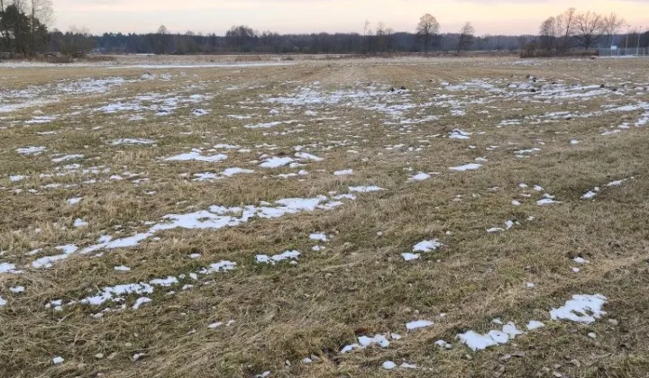 Działka rolna Miedzichowo