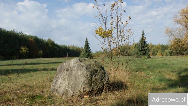 Działka siedliskowa Strzegocin. Zdjęcie 2