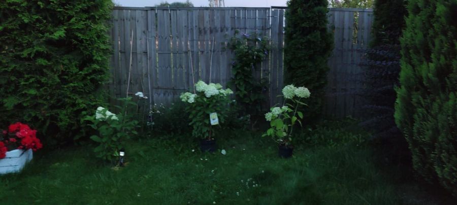 Działka rod Gdańsk Rębiechowo, ul. Nowatorów. Zdjęcie 20