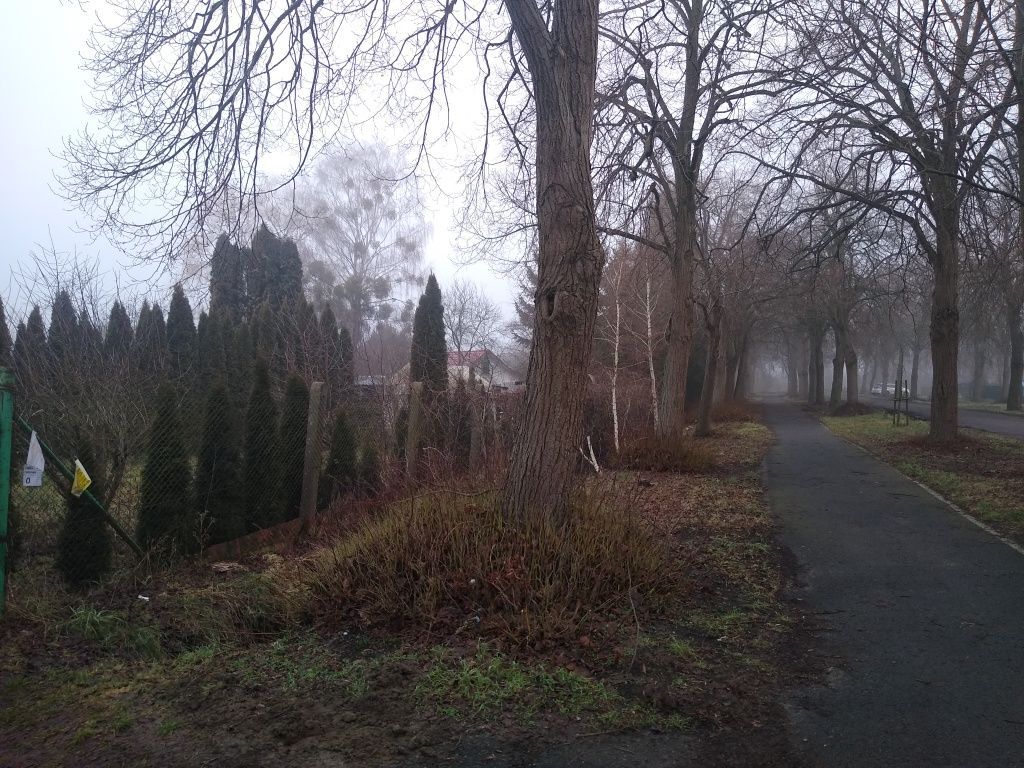 Działka rod Piła. Zdjęcie 7