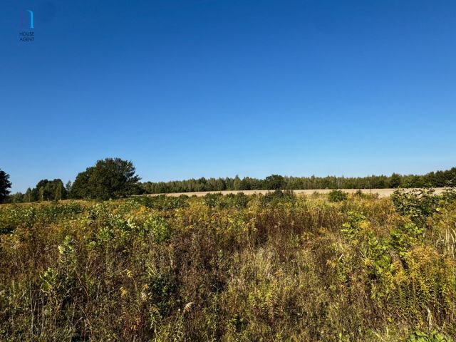 Działka inwestycyjna Stary Imielnik. Zdjęcie 9